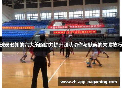 球员必知的六大策略助力提升团队协作与默契的关键技巧