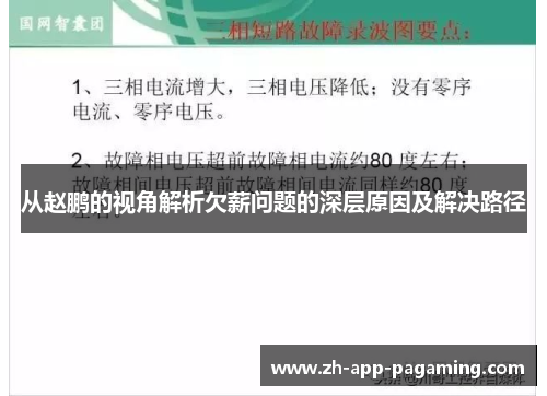 从赵鹏的视角解析欠薪问题的深层原因及解决路径