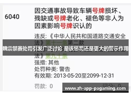 魏震禁赛处罚引发广泛讨论 是该惩罚还是更大的警示作用