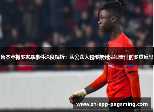鲁本塞梅多家暴事件深度解析:从公众人物形象到法律责任的多重反思