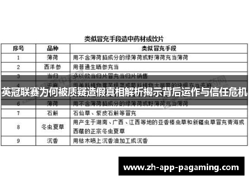 英冠联赛为何被质疑造假真相解析揭示背后运作与信任危机 英冠联赛为何被质疑造假真相解析揭示背后运作与信任危机