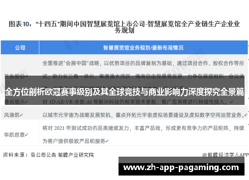 全方位剖析欧冠赛事级别及其全球竞技与商业影响力深度探究全景篇