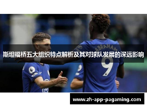 斯坦福桥五大组织特点解析及其对球队发展的深远影响