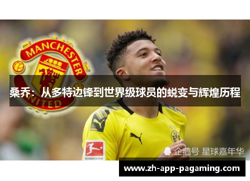 桑乔：从多特边锋到世界级球员的蜕变与辉煌历程
