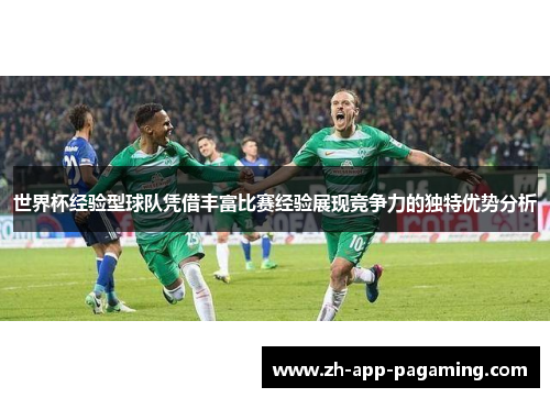 世界杯经验型球队凭借丰富比赛经验展现竞争力的独特优势分析